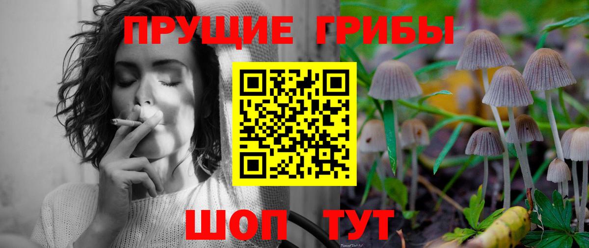 Псилоцибиновые грибы ЛСД Коркино